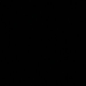 Meet your Posher, Oscar